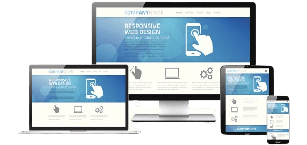 everything you need to know about seo